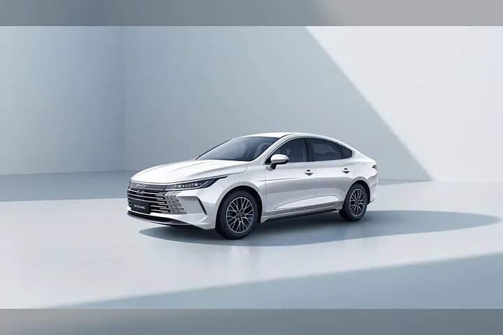 BYD King - foto 1