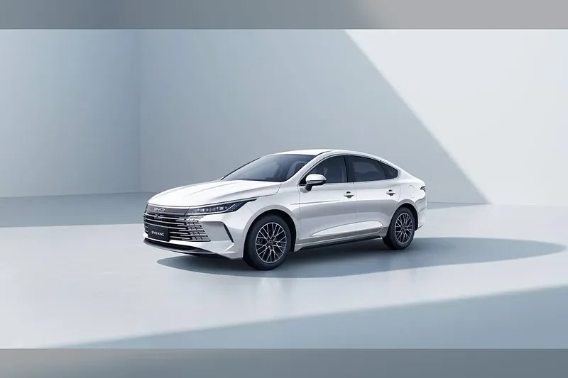 BYD King - foto 1