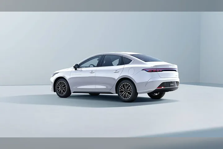 BYD King - foto 2