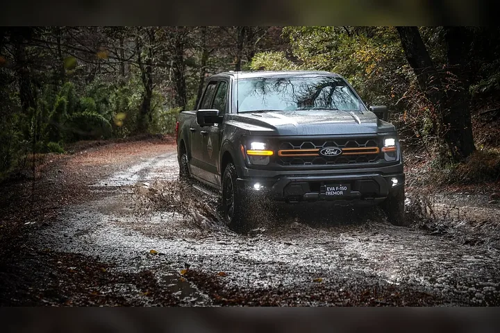 Ford F-150 - foto 1